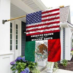 Mexico Mexican American Flag TPT329F