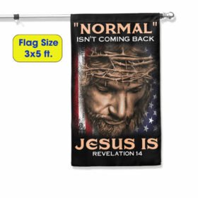 Jesus Flag Normal Isn't Coming Back Jesus Is Flag MLN581F