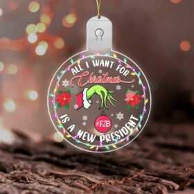 Grinch Ornament, All I Want For Christmas Is A New President FJB Led Ornament TPT389O