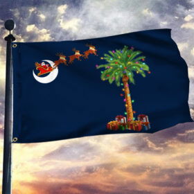 Have a Palmetto Christmas in South Carolina with our State Pride