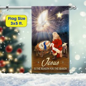 Jesus Is The Reason For The Season Flag LNT741F