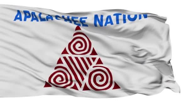 Flag of Apalachee