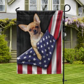 Chihuahua Dog American Flag TQN1136F