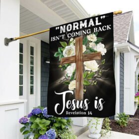 Jesus Flag "Normal" Isn't Coming Back Jesus Is TQN1133F