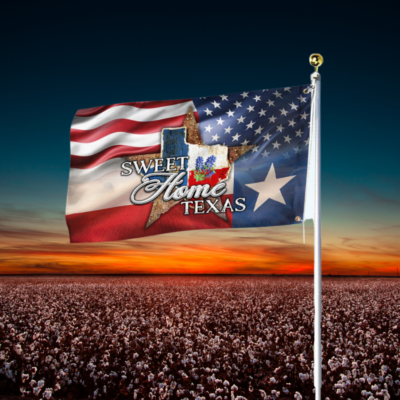 Texas Sweet Home Texas Grommet Flag MLN258GF