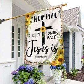 Jesus Flag “Normal” Isn't Coming Back Jesus Is TQN1447F