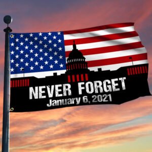 Memorial Day Never Forget January 6 2021, The Capitol Riot American Flag TPT1176GF