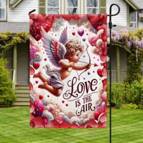 Valentine's Day Cupid Love Is The Air Flag TQN2349F