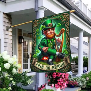 FLAGWIX  St Patrick's Day Erin Go Bragh Irish Flag TQN2489F